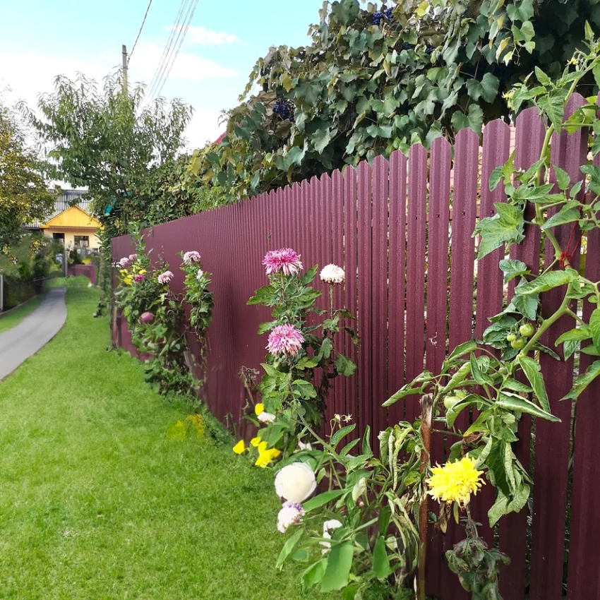 Tisa | Виненочервено RAL 3005