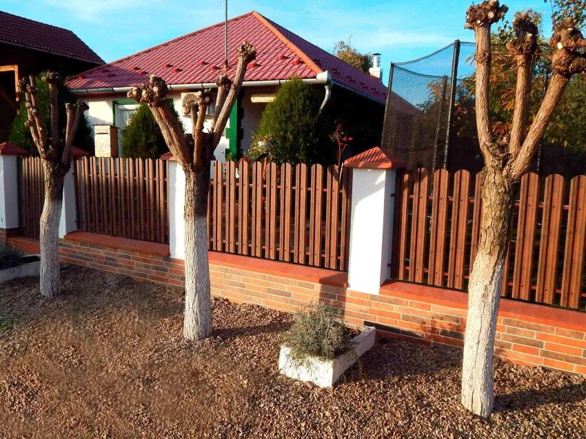 Tisa | Тъмен орех